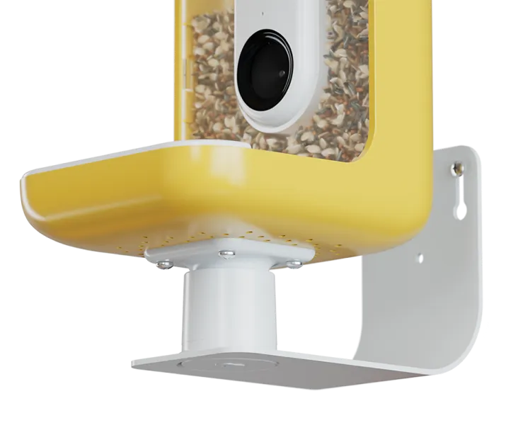 Wall mount