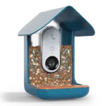 Birdbuddy LITE