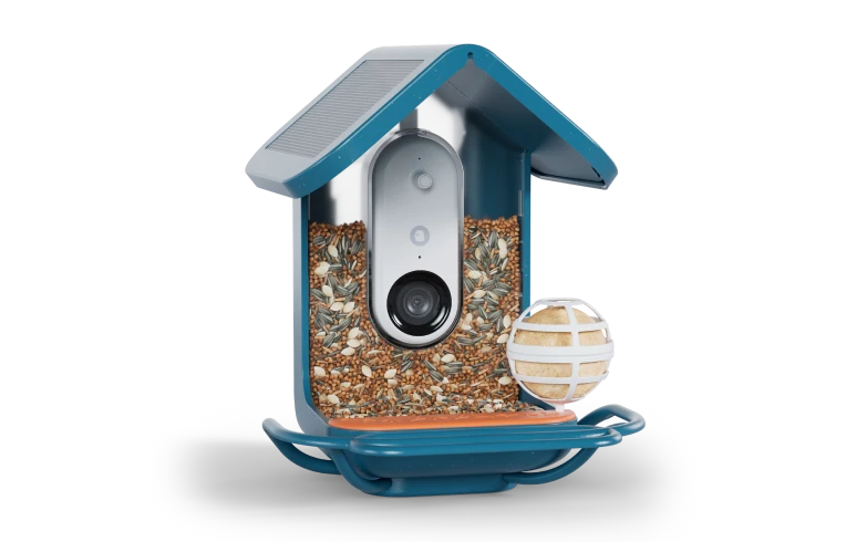 Birdbuddy