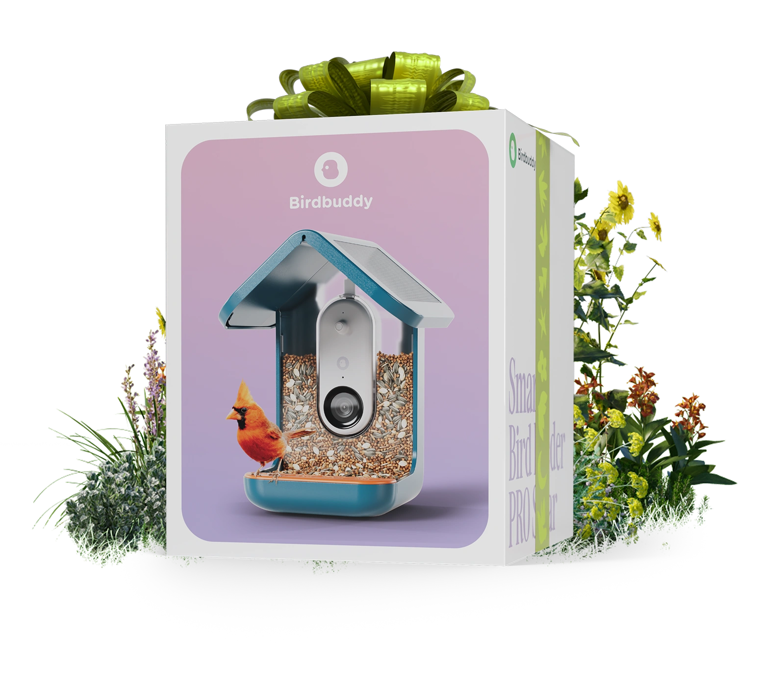 Gift Box