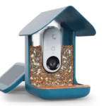 Birdbuddy Pro Solar
